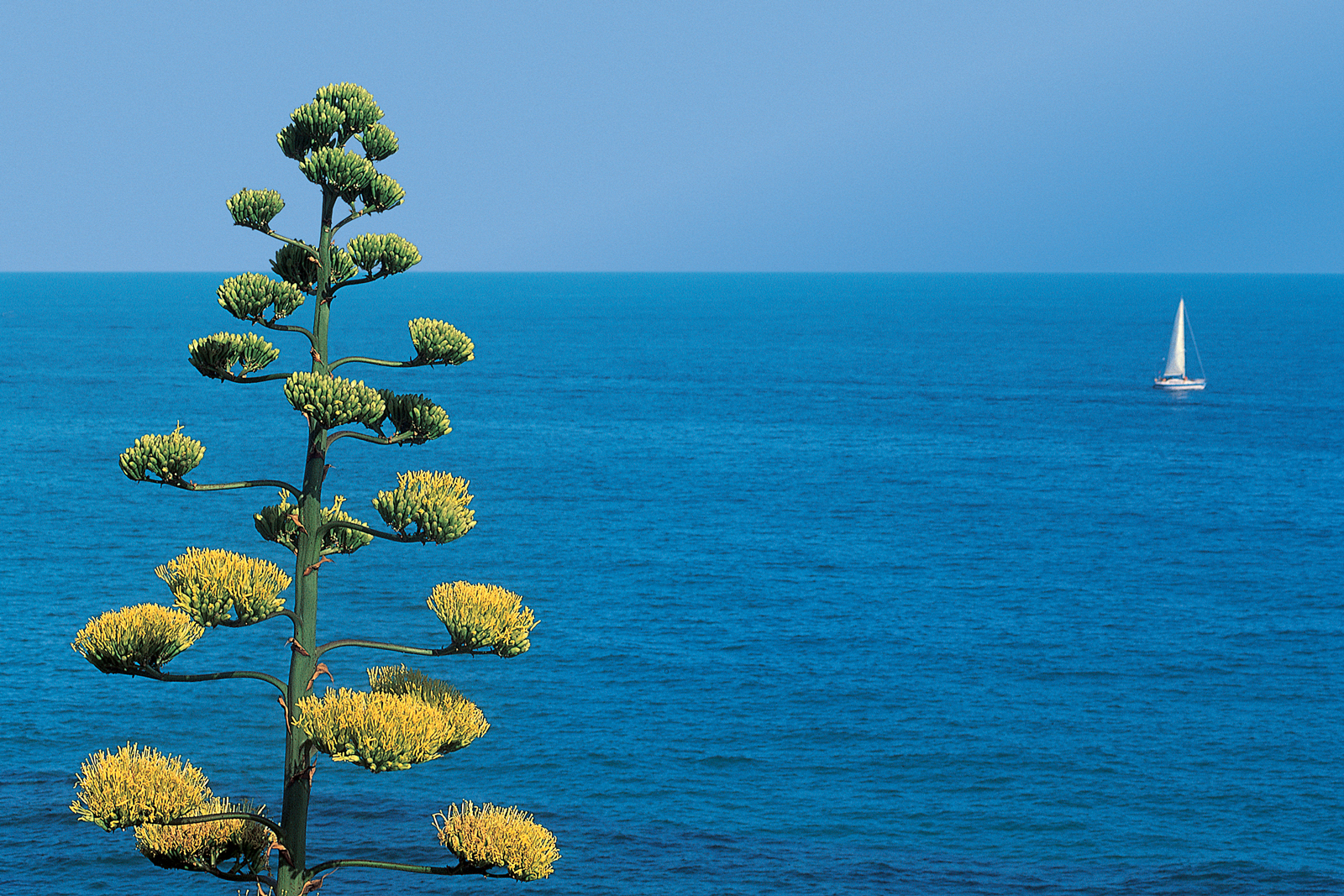 Riviera - Mare
